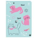 ZESZYT A5 W KRATKĘ 32 kartki Sweet Kitten