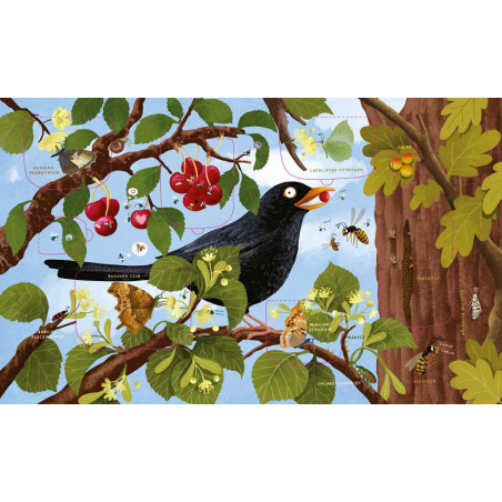 ROK W LESIE. ROBACZKI książka z okienkami Emilia Dziubak