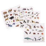 ZWIERZĘTA ŚWIATA kalkomania z plakatem zestaw kreatywny