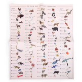 ZWIERZĘTA ŚWIATA kalkomania z plakatem zestaw kreatywny