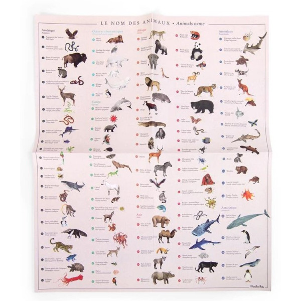 ZWIERZĘTA ŚWIATA kalkomania z plakatem zestaw kreatywny