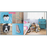 GDZIE JEST MOMO? Szukaj, znajduj, odkrywaj książeczka Andrew Knapp