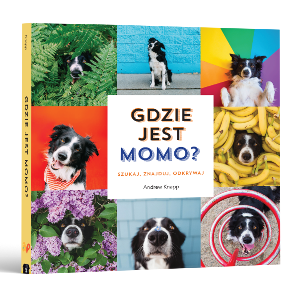 GDZIE JEST MOMO? Szukaj, znajduj, odkrywaj książeczka Andrew Knapp