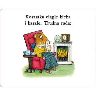 KOSZATKA MA KATAR książeczka z okienkami Julia Donaldson, Axel Scheffler