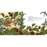 JAK WYGLĄDA OPOS? książka Sabine Bohlmann Emilia Dziubak wyd. Nasza Księgarnia 3+