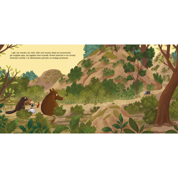 JAK WYGLĄDA OPOS? książka Sabine Bohlmann Emilia Dziubak wyd. Nasza Księgarnia 3+