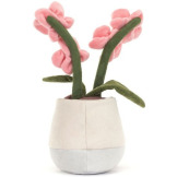 WESOŁA ORCHIDEA różowe kwiatki w doniczce 25 cm