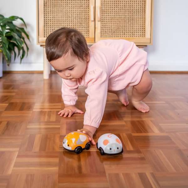 KOT I MYSZ pojazdy naciągane z napędem