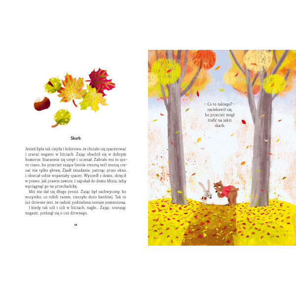 DOBRZY SĄSIEDZI. MIŚ I ZAJĄC książka dla dzieci Ewa Kozyra-Pawlak, Paweł Pawlak