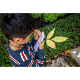 MIKROSKOP zestaw małego odkrywcy