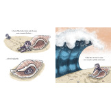WIELKI SKOK NELI książka w twardej oprawie Cori Doerrfeld
