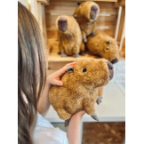 KAPIBARA brązowa przytulanka 24 cm