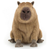 KAPIBARA brązowa przytulanka 24 cm