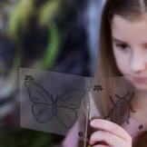 ROBAKI zestaw kreatywny 6 kolorów Tubi Jelly