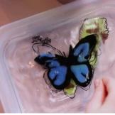 ROBAKI zestaw kreatywny 6 kolorów Tubi Jelly