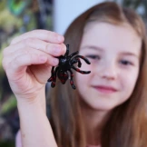 ROBAKI zestaw kreatywny 6 kolorów Tubi Jelly