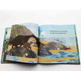 OD KIEDY JESTEM TWOIM TATĄ książka w twardej oprawie Susannah Shane