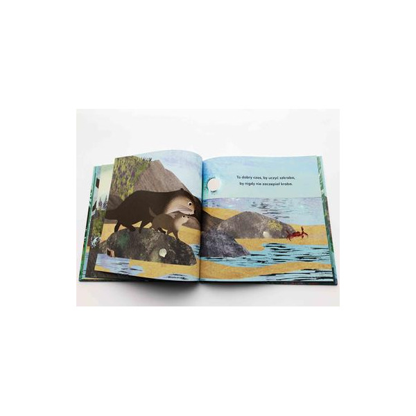 OD KIEDY JESTEM TWOIM TATĄ książka w twardej oprawie Susannah Shane