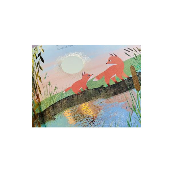 OD KIEDY JESTEM TWOIM BRATEM książka w twardej oprawie Susannah Shane