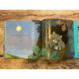 OD KIEDY JESTEM TWOJĄ SIOSTRĄ książka w twardej oprawie Susannah Shane