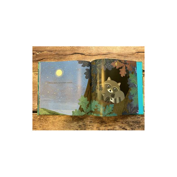 OD KIEDY JESTEM TWOJĄ SIOSTRĄ książka w twardej oprawie Susannah Shane