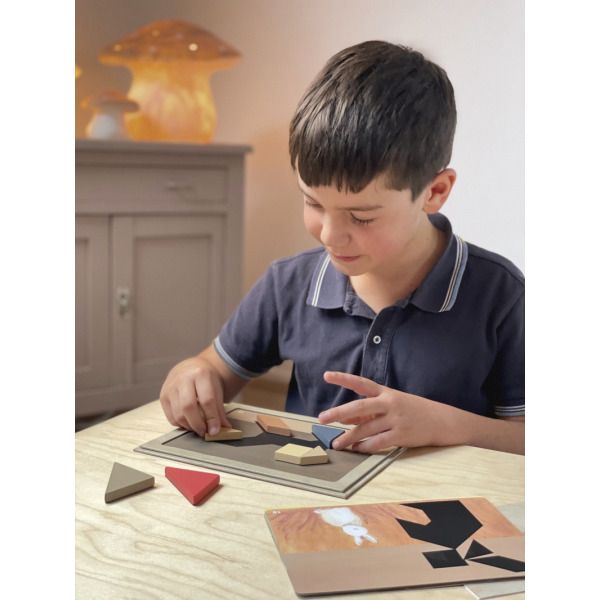 TANGRAM magnetyczna gra logiczna 5+