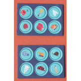 JEDNOROŻEC puzzle kieszonkowe z grą obserwacyjną 36 el. Londji 4+