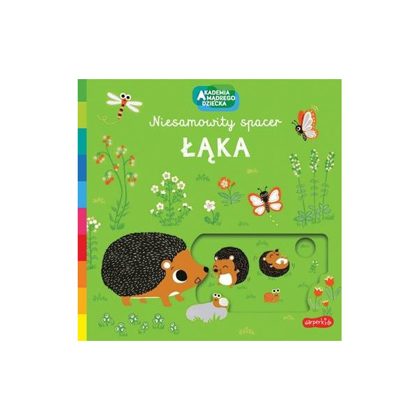 ŁĄKA Niesamowity spacer Akademia Mądrego Dziecka książeczka kartonowa z przesuwnymi elementami Nathalie Choux