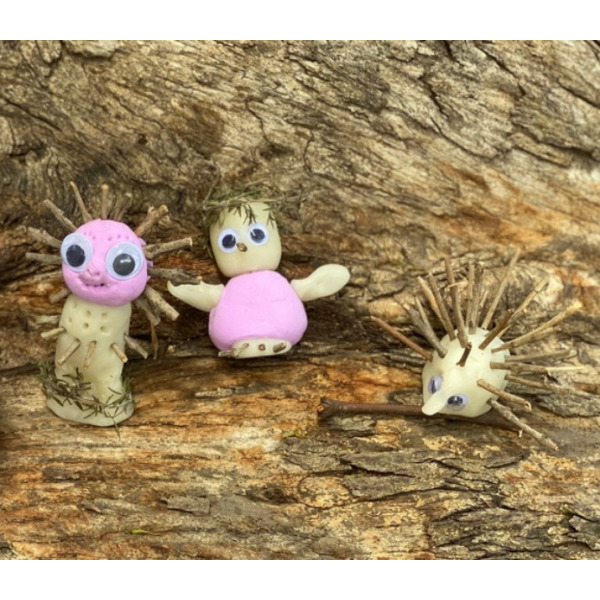 NATURA zestaw artystyczny 16 projektów Tiger Tribe 3+