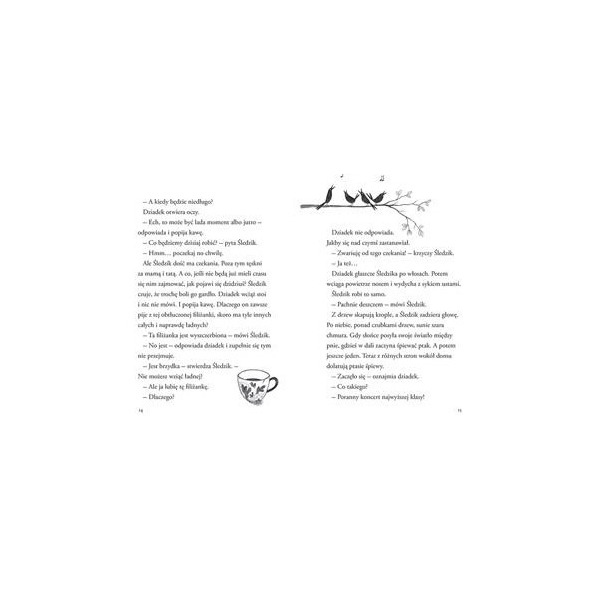 ŚLEDZIK CZEKA NA DZIDZIUSIA Tom 1 książka w twardej okładce Anna Ehring ZAKAMARKI