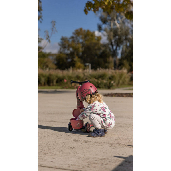 WILDCAT highwaykick 1 Lifestyle 2w1 Jeździk i hulajnoga z zamykanym schowkiem 1-5 lat Scoot and Ride