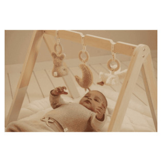 Drewniany pałąk interaktywny Newborn Naturals Little Dutch 0+