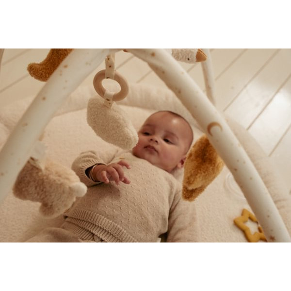 GĄSKA mata aktywizująca z pałąkiem Newborn Naturals Little Dutch 0+