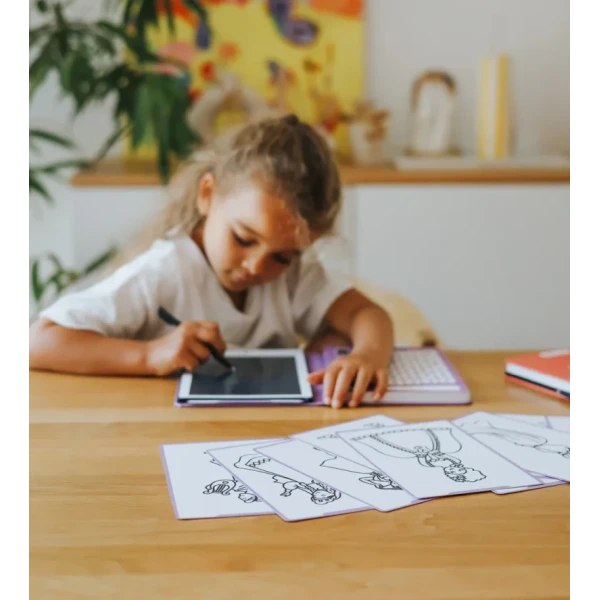 Księżniczki KIDYDRAW-MINI podświetlany tablet do rysowania pad z ekranem LCD Princess Kidywolf 3+