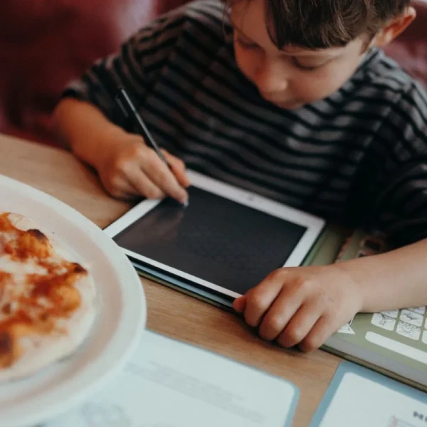 Wkłady uzupełniające REFIL KIDYDRAW-MINI do tabletu z ekranem LCD Kidywolf 3+