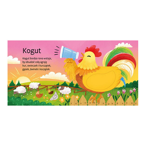 NA WSI książeczka sensoryczna ZWIERZACZKI PRZYTULACZKI Elżbieta Korolkiewicz wyd. AWM