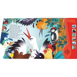 PTASIE RADIO wiersz do słuchania książka z panelem dźwiękowym Julian Tuwim wyd. AWM