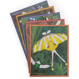 DOOKOŁA ŚWIATA zestaw kreatywny z folią transferową 6 obrazków Moulin Roty 6+