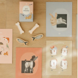 DREWNIANY GABINET WETERYNARYJNY z akcesoriami FSC Little Dutch 3+