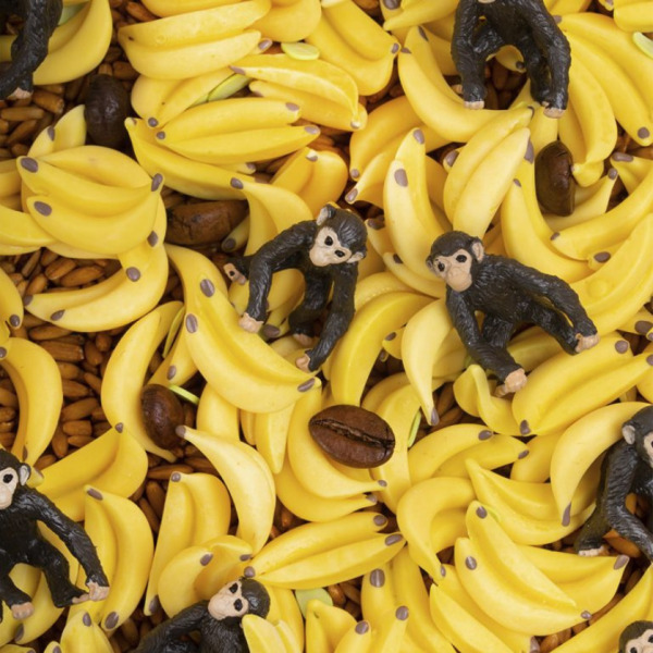 MAŁPKA sensoryczna butelka obserwacyjna Petit Boum 3 msc+