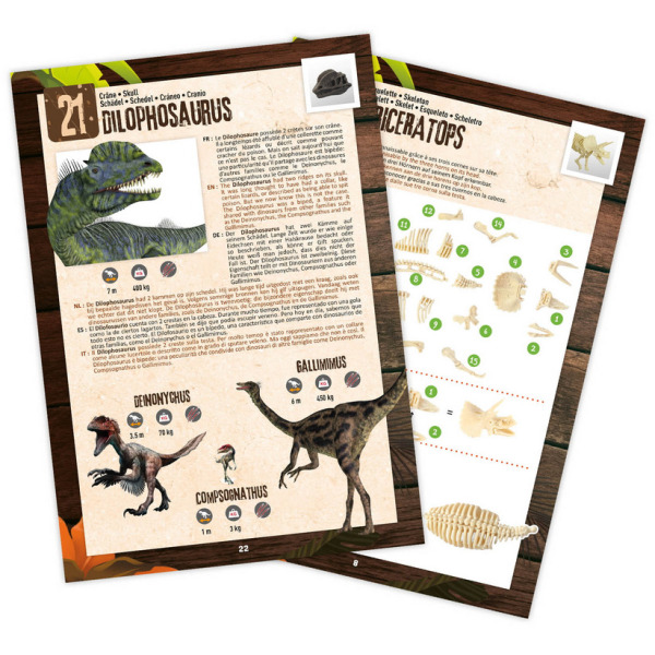 PUDEŁKO 25 NIESPODZIANEK Z DINOZAURAMI mały archeolog zestaw kreatywny do kalendarza adwentowego BUKI 6+