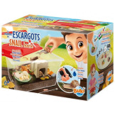 DOMEK DLA ŚLIMAKÓW zestaw naukowy do obserwacji mięczaków BUKI 6+