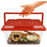 DOMEK DLA ŚLIMAKÓW zestaw naukowy do obserwacji mięczaków BUKI 6+