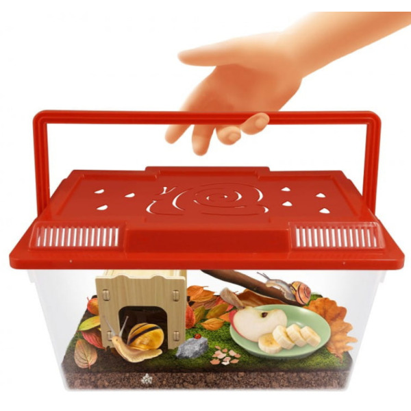 DOMEK DLA ŚLIMAKÓW zestaw naukowy do obserwacji mięczaków BUKI 6+