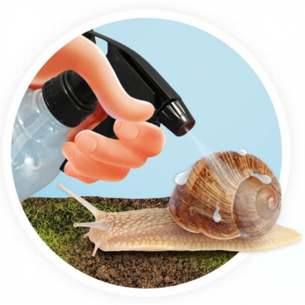 DOMEK DLA ŚLIMAKÓW zestaw naukowy do obserwacji mięczaków BUKI 6+