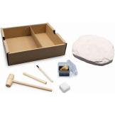 STEGOZAUR szkielet dinozaura do wykopania i złożenia mały paleontolog BUKI 8+