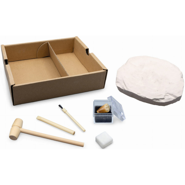 STEGOZAUR szkielet dinozaura do wykopania i złożenia mały paleontolog BUKI 8+