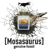 STEGOZAUR szkielet dinozaura do wykopania i złożenia mały paleontolog BUKI 8+