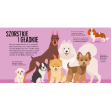 PSY. POP-UP rozkładana książka kartonowa Dawid Hawcock wyd. JupiJo 3+