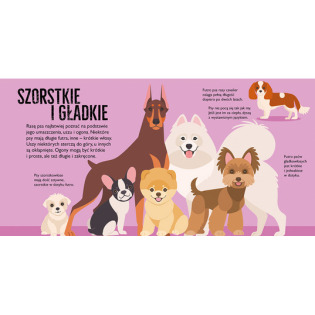 PSY. POP-UP rozkładana książka kartonowa Dawid Hawcock wyd. JupiJo 3+